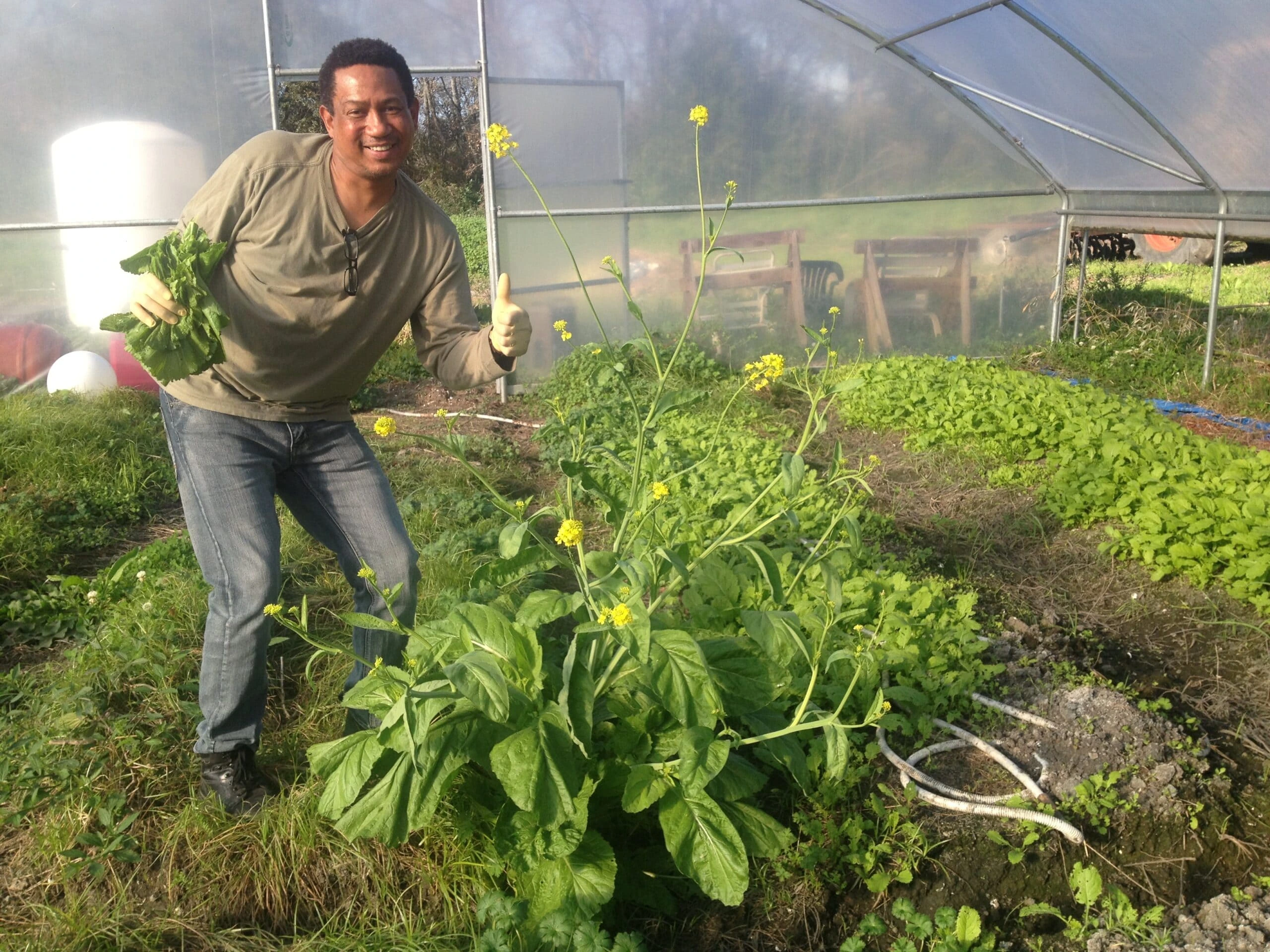 Environmental Quality Incentives Program (EQIP) A GGFFC specialty crop farmer makes use of a high tunnel “hoop house,” to plant crop year- round. USDA/NRCS EQIP Program assisted with available funding.